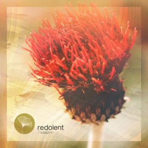Save a Prayer - Dj Chus Rework