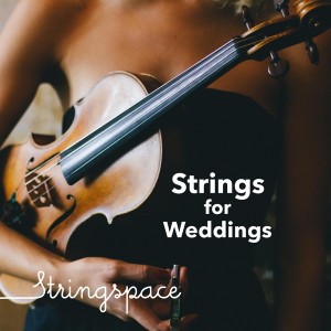 Canon in D Major (String Quartet)