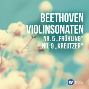 Violin Sonata No. 5 in F Major, Op. 24 "Spring": Allegro