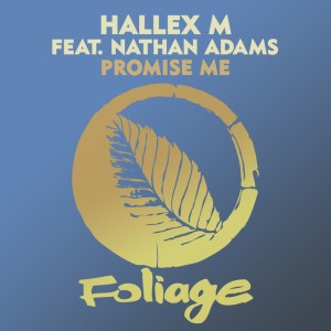 Promise Me - Vocal Mix Edit