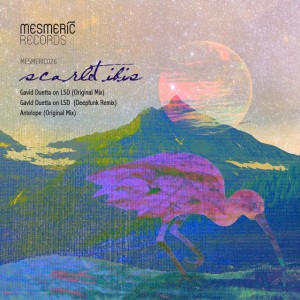 Gavid Duetta on LSD (Deepfunk Remix)