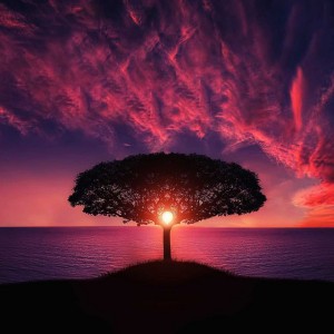 Serene and Still