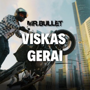 Viskas Gerai