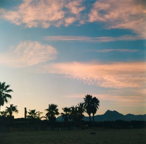 First Light Falling