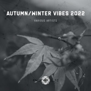 Air Carnation - Mixed