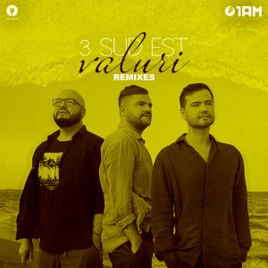 Valuri - Adrian Funk X OLiX Extended Remix