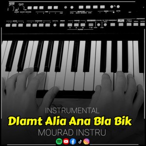 Dlamt Alia Ana Bla Bik