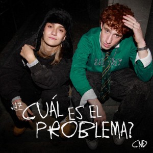 Cuál es el Problema?