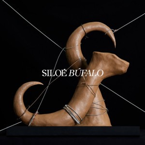 Búfalo
