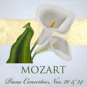 Piano Concerto No. 24 in C Minor, KV. 491: I. Allegro
