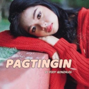 Pagtingin