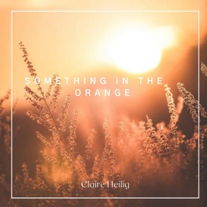 Something In The Orange - Cover