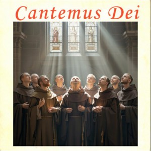 Aeternum Velum
