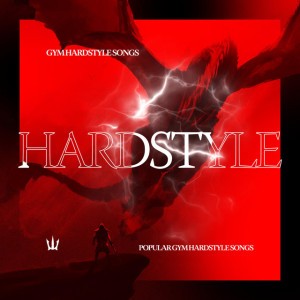 BIG JET PLANE - HARDSTYLE