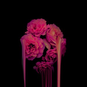 Bloom