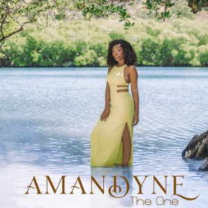 The One by AMANDYNE