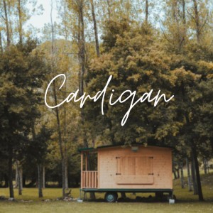 Cardigan (TikTok Version Sped) - Remix