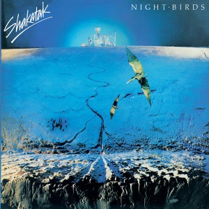 Night Birds (12" Version)