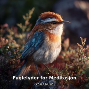 Fuglelyder til Meditasjon og Mental Ro, Pt.1