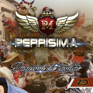 Popurri de Toritos