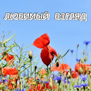 ЛЮБИМЫЙ ВЗГЛЯД