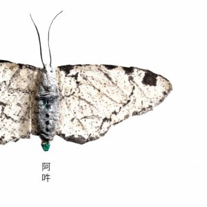 Haru