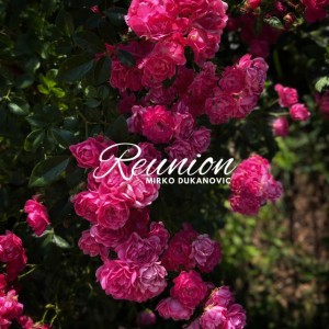 Reunion