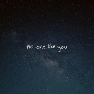 No One Like You