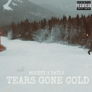 TEARS GONE COLD