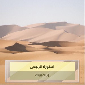 وينك وينك