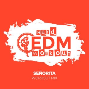 Señorita (Workout Remix 140 bpm) [MIXED]