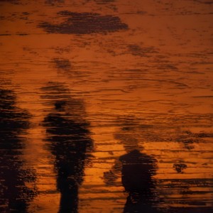 The Shadows of Men