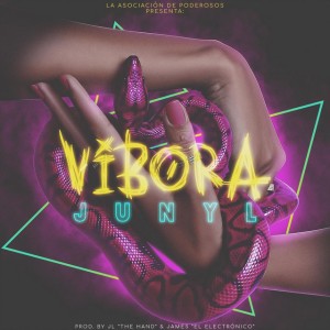 Vibora