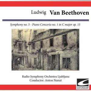 Symphony No. 5 in C Minor, Op. 67: Andante con moto