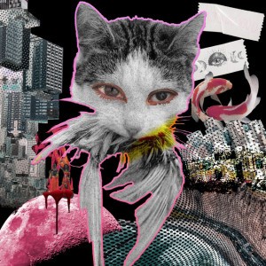 Funk Da Paloma