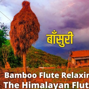 Morning Flute Music | बाँसुरी || Bamboo Flute | Mountain Flute | Himalayan Flute Music•Bishram Ep.98