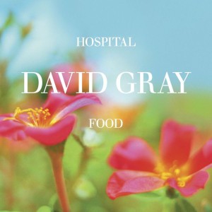 Hospital Food - Radio Edit