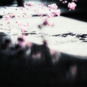 welcome and goodbye (cover)